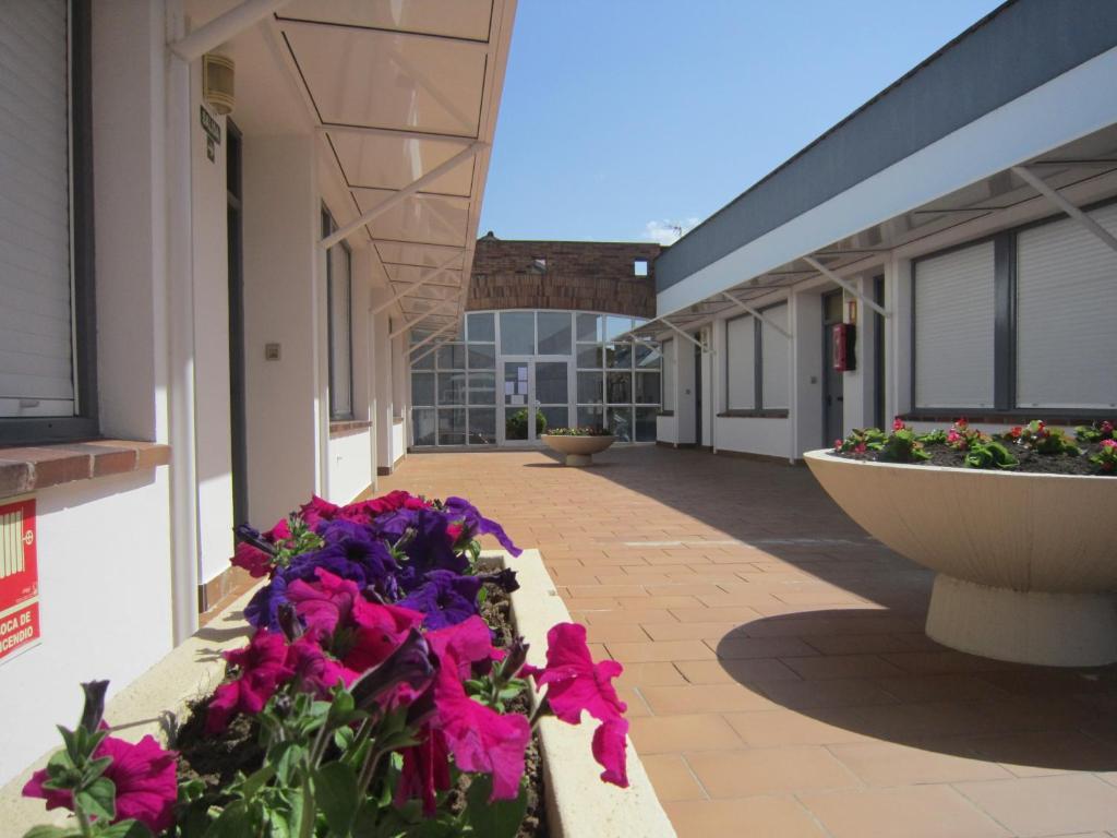 Apartamentos Elena لاريدو المظهر الخارجي الصورة